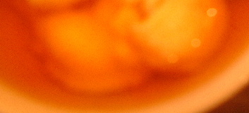 b0051598_8241662.jpg