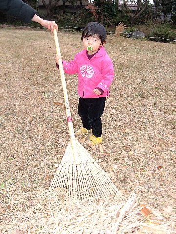 カヤだるま出現！_b0049307_16405428.jpg