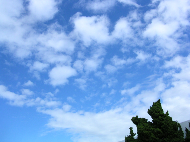 b0011412_1582268.jpg