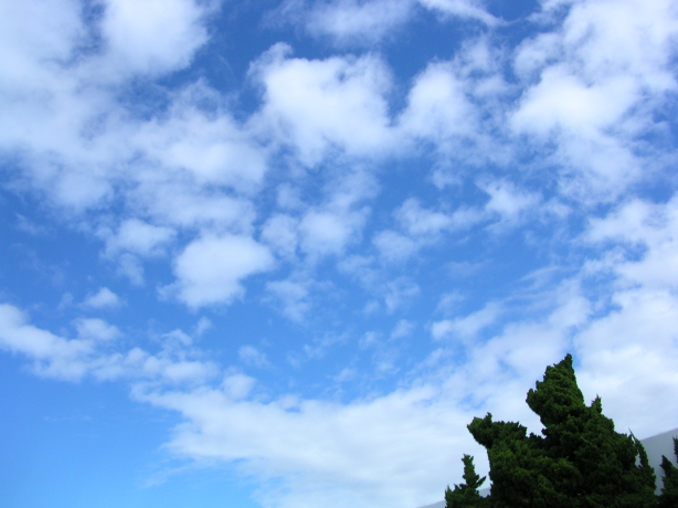 雨上がりの空_b0011412_1582268.jpg