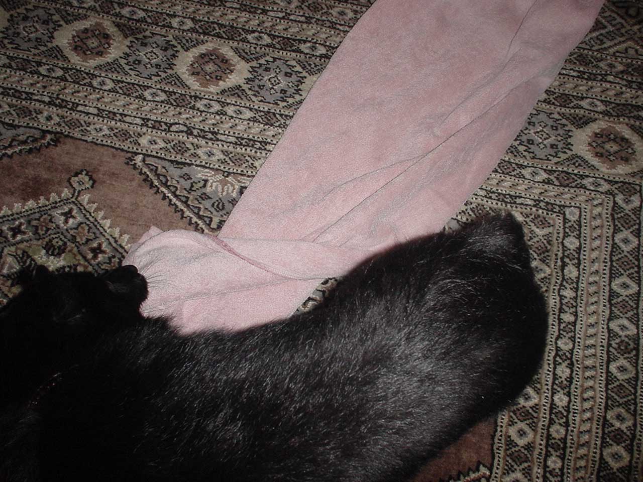 b0066826_23341665.jpg