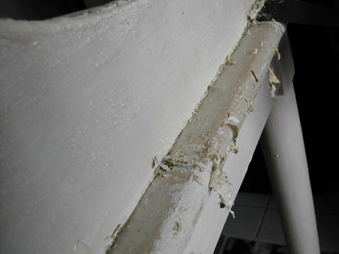 b0069848_6433184.jpg