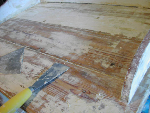 b0069848_648688.jpg