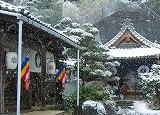 b0029488_1484946.jpg