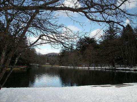 軽井沢・雲場の池も美しい景色を見せてくれています。_c0004708_1714913.jpg
