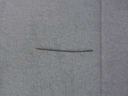 胃切開の3匹_b0059154_1132123.jpg