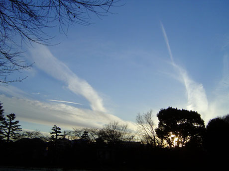 b0019960_21454638.jpg