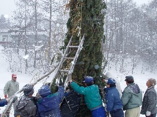 歳ノ神・・・誰か見に来てくれないかな。。。_a0009887_0265531.jpg