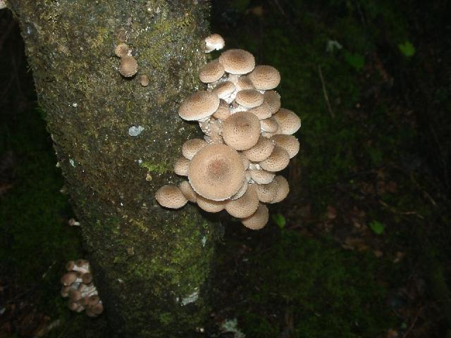 c0026627_9381676.jpg