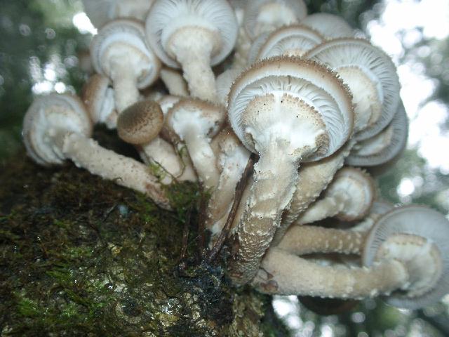 c0026627_9383497.jpg