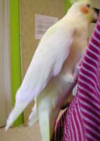 旧ポキート日記より _mido_c0032056_169985.jpg