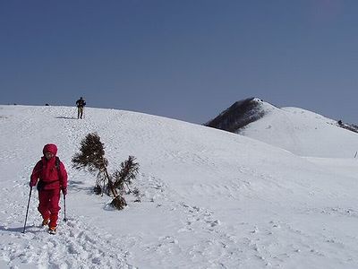 比良山武奈ヶ岳西南稜_c0027114_23141083.jpg