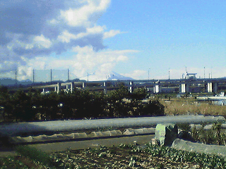 b0044345_2215595.gif