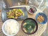 b0034565_39598.jpg