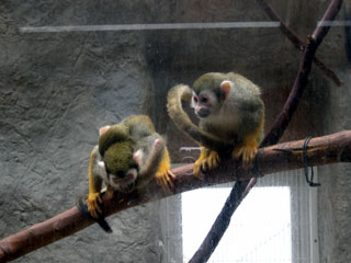 a0021438_19471483.jpg
