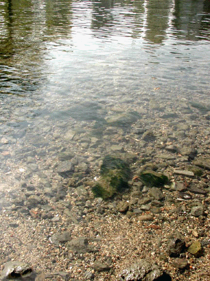 c0015099_1245054.gif