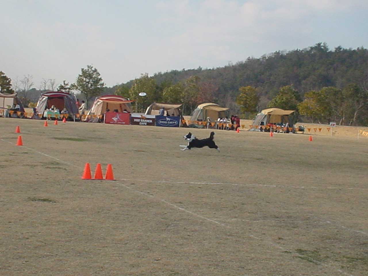 b0066826_23405135.jpg