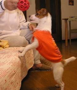 b0065067_04656.jpg