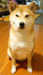 b0057675_1142780.jpg