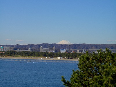 2005年１月20日（木）晴れ　八景島シーパラダイス_b0058608_22441660.jpg