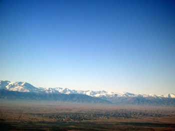 a0015132_42548.jpg