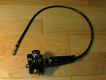 c0009528_2365366.gif