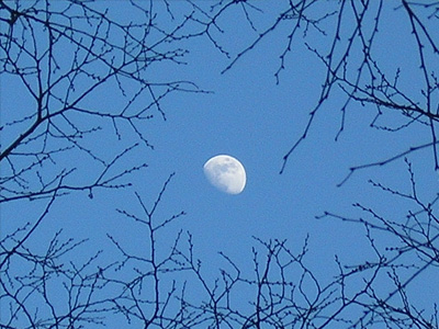 Moon 「一歩」_a0002073_16594.jpg