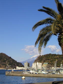 オトナゲないと_b0016474_15502382.jpg