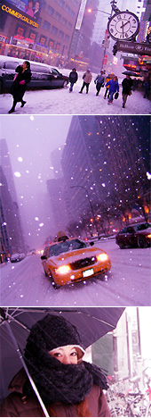 大雪降ってフラフラです_b0007805_15451475.jpg