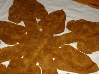 c0023406_720365.jpg