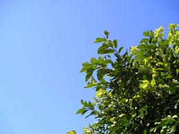 ＊正しい選択＊　　2005,1,22_a0030038_11313940.jpg