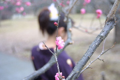 c0039145_21433145.jpg