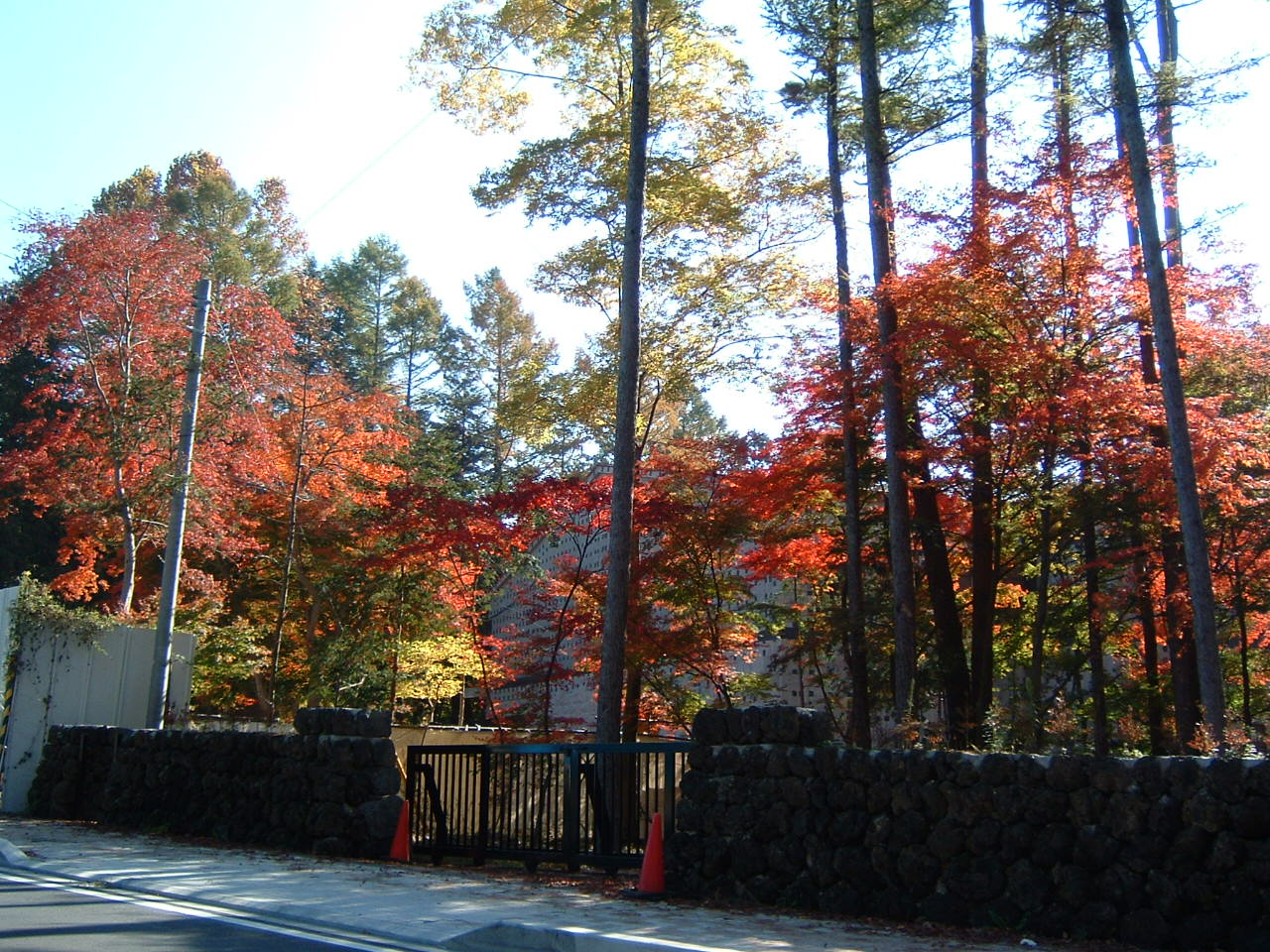 c0030954_63903.jpg