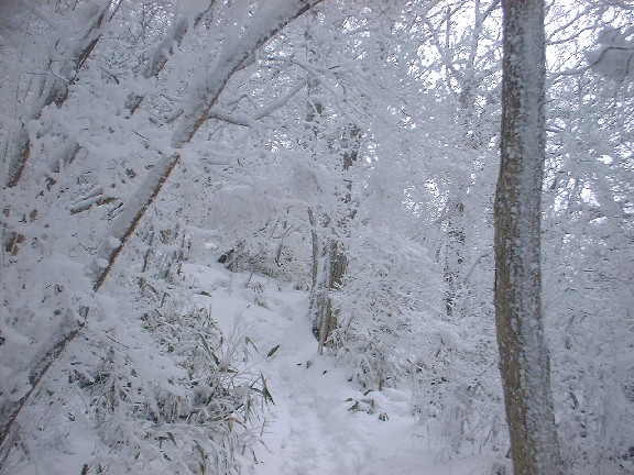 金剛山へ樹氷を見に行く_b0039898_062364.jpg