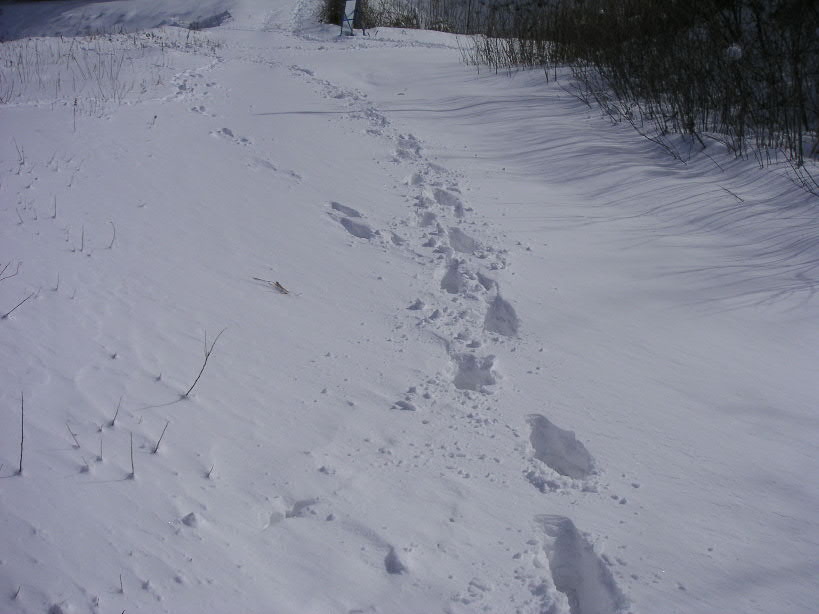 a0028803_12465053.jpg