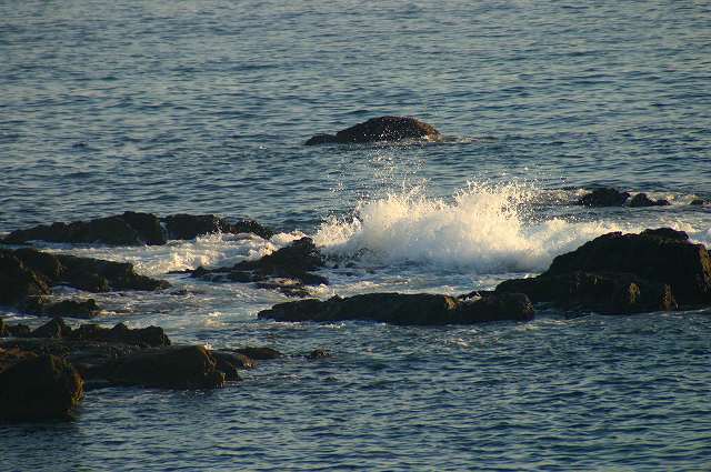 a0002209_5403863.jpg
