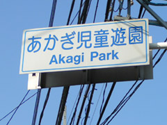 10年ぶりの象の滑り台2(神楽坂・あかぎ児童遊園)_a0028451_2272126.jpg