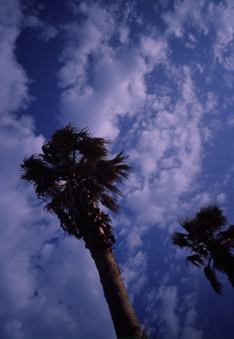 c0029654_11222687.jpg