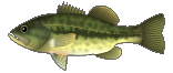 a0030168_15503636.gif
