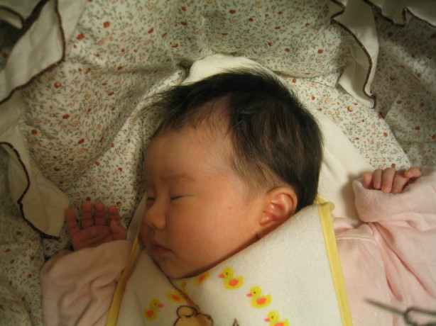 c0029911_2148727.jpg