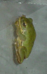 a0030715_20124371.jpg