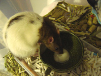 c0005835_08168.jpg