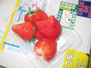 b0062748_15575186.jpg