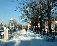a0027277_804761.jpg