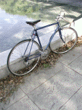c0015099_2111407.gif