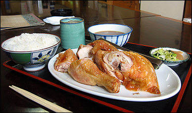 鳥専門店　『花の木』_c0002300_23543348.jpg