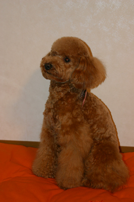 a0016311_1651100.jpg