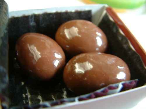 「豊橋へ 新幹線ランチ」_a0000029_1981385.jpg