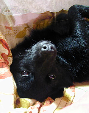 a0009750_12131036.jpg