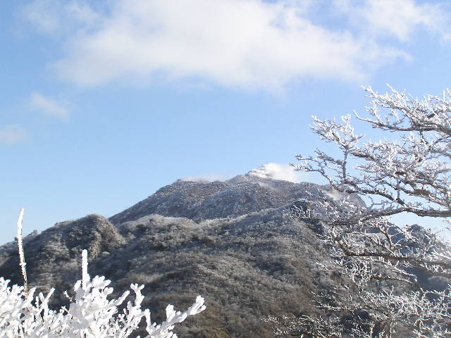 c0042869_9374071.jpg